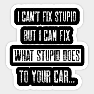 I can't fix stupid. But I can fix what stupid does to your car. Sticker